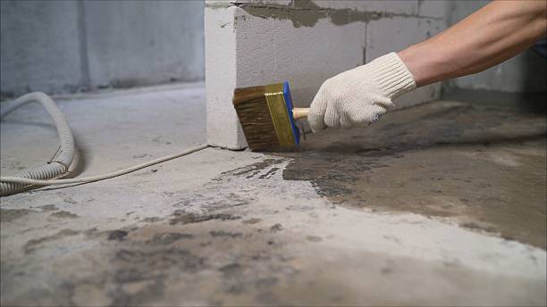 24/7 Emergency Crawl Space Encapsulation experts in Endeavor, WI